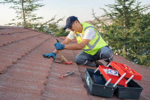 Best Flat Roof Repair Services  in Avon, MN