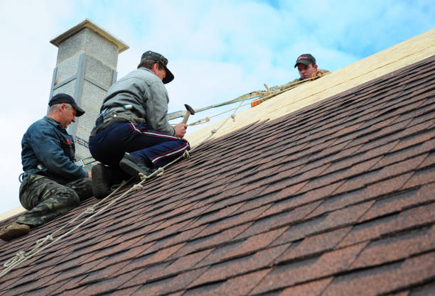 Best Emergency Roof Repair  in Avon, MN
